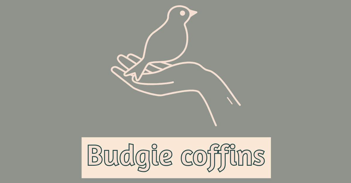 Buy Budgie Coffins